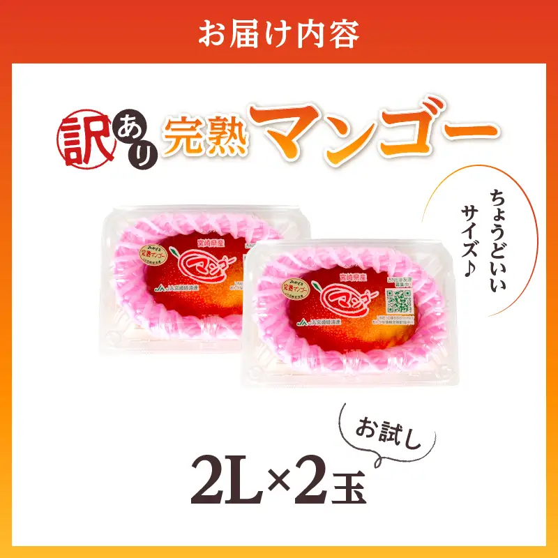 先行予約 訳あり 完熟マンゴー 2L×2玉（パック）マンゴー 宮崎 果物 フルーツ くだもの 2027年 国産 高級 マンゴージュース フルーツサンド 南国フルーツ デザート おすすめ 家庭用 ワケアリ おすそ分け 冷蔵 綾町 送料無料 【JA綾町】_A0114-1102
