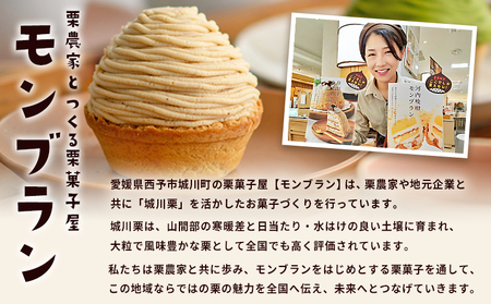 ＜城川オリジナルモンブラン 2個入り【3回定期便】＞ 栗 スイーツ マロン 洋菓子 おかし ケーキ くり お試し 和栗ペースト クリーム 渋皮煮 スポンジ チーズアパレイユ タルト メニークエスト 愛媛県 西予市【冷凍】『3か月以内に順次出荷予定』ふるさと納税モンブラン SMQ0017
