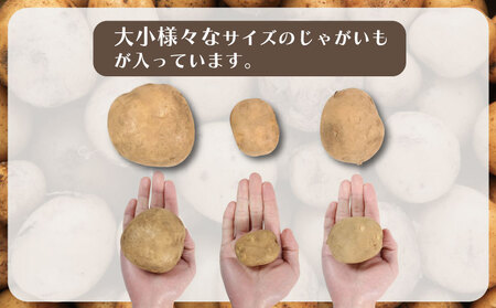 先行予約 じゃがいも 約5kg ニシユタカ 【12月初旬~4月中旬頃発送予定】 じゃがいも