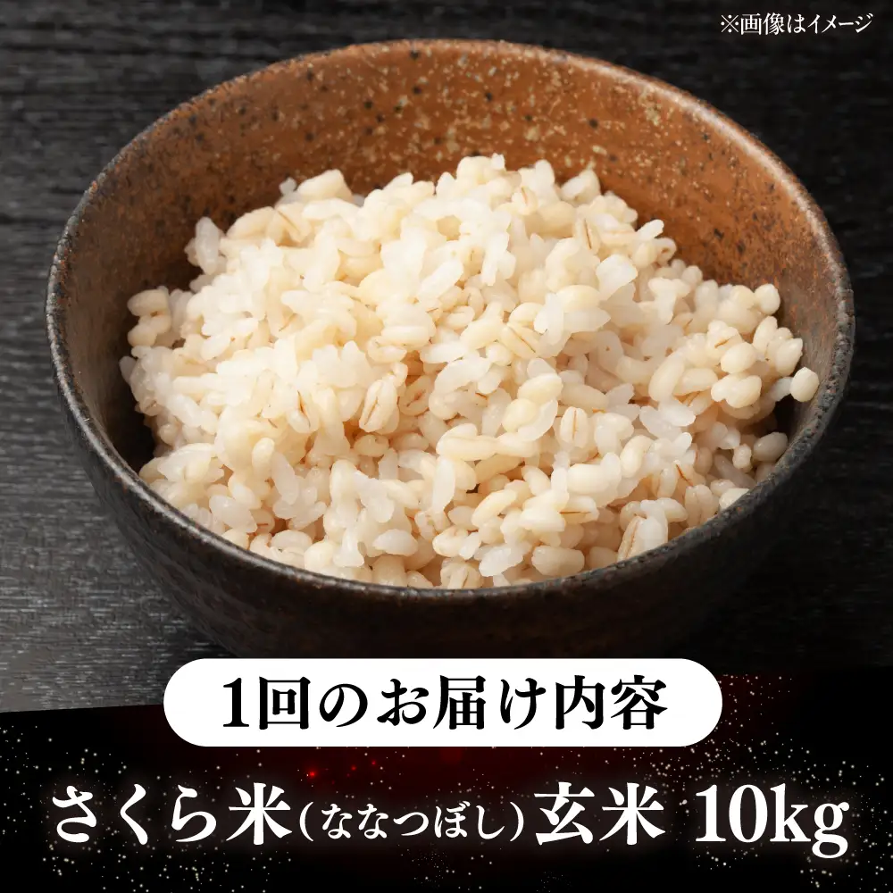 【全3回定期便】 玄米 ななつぼし さくら米 10kg 北海道 玄米 [AXAB080]
