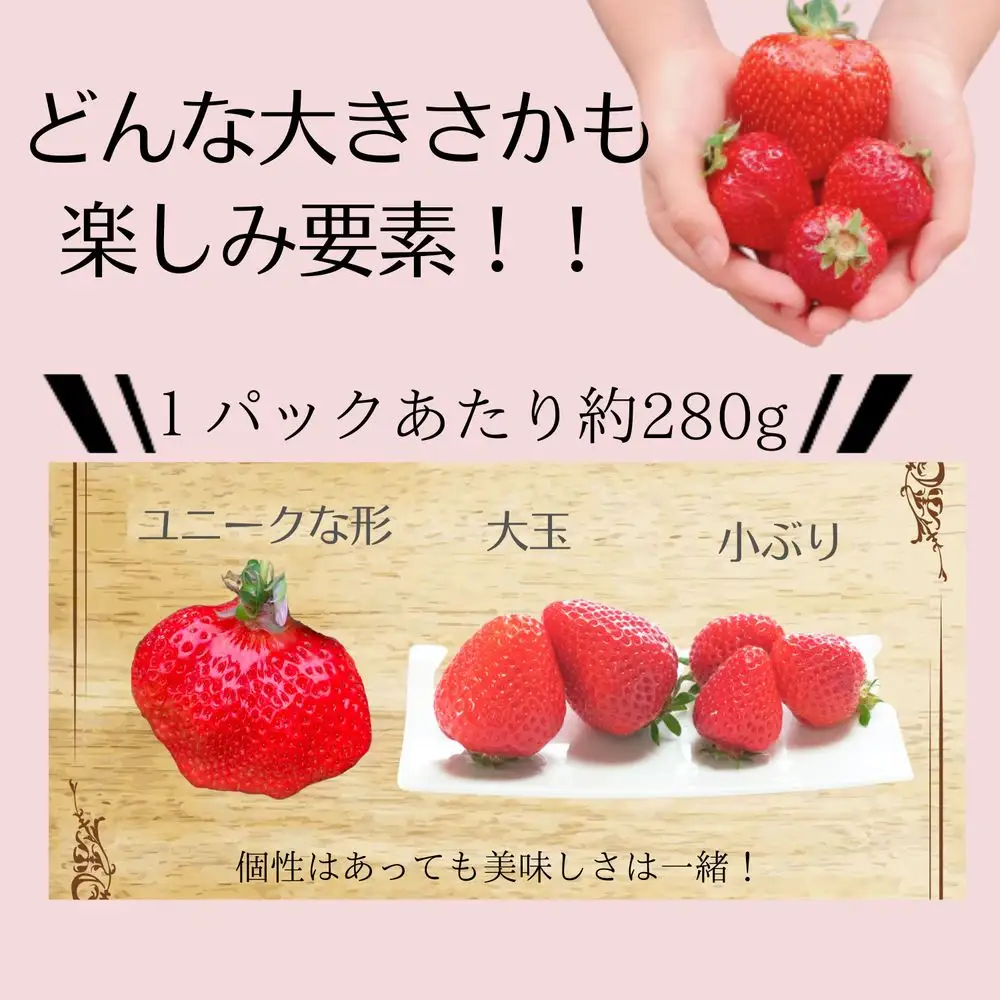 【先行予約受付中】【2026年12月以降順次発送】特別栽培あまおう4パック(サイズミックス)【うるう農園】_HA1968