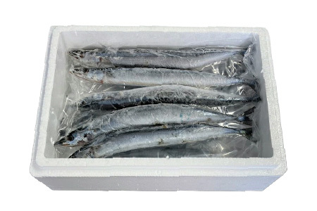 【北海道根室産】冷凍さんま60尾 D-30002