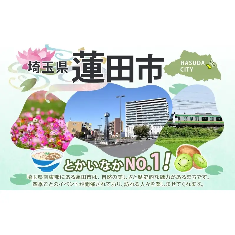 キウイフルーツグリーン渋谷農園贈答用キウイフルーツ【特L玉20個入】