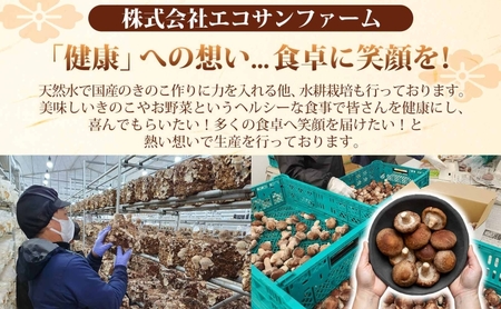 乾燥スライスしいたけ 20g×8 (160g) しいたけ 小分け 乾物 食物繊維 国産 お取り寄せ グルメ こだわり 簡単調理 干ししいたけ 椎茸 シイタケ きのこ ヘルシー 送料無料 埼玉県 蓮田市
