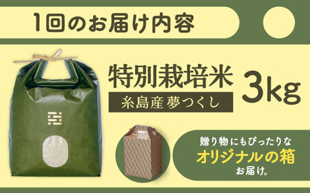 【全12回定期便】とくべつの中のとくべつ 特別栽培米 3kg 夢つくし 吉富町/(株)やました[BGBX004]