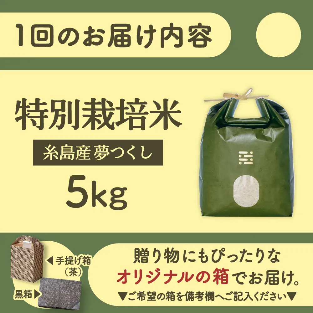 【全3回定期便】とくべつの中のとくべつ 特別栽培米 5kg 夢つくし 吉富町/(株)やました[BGBX006]