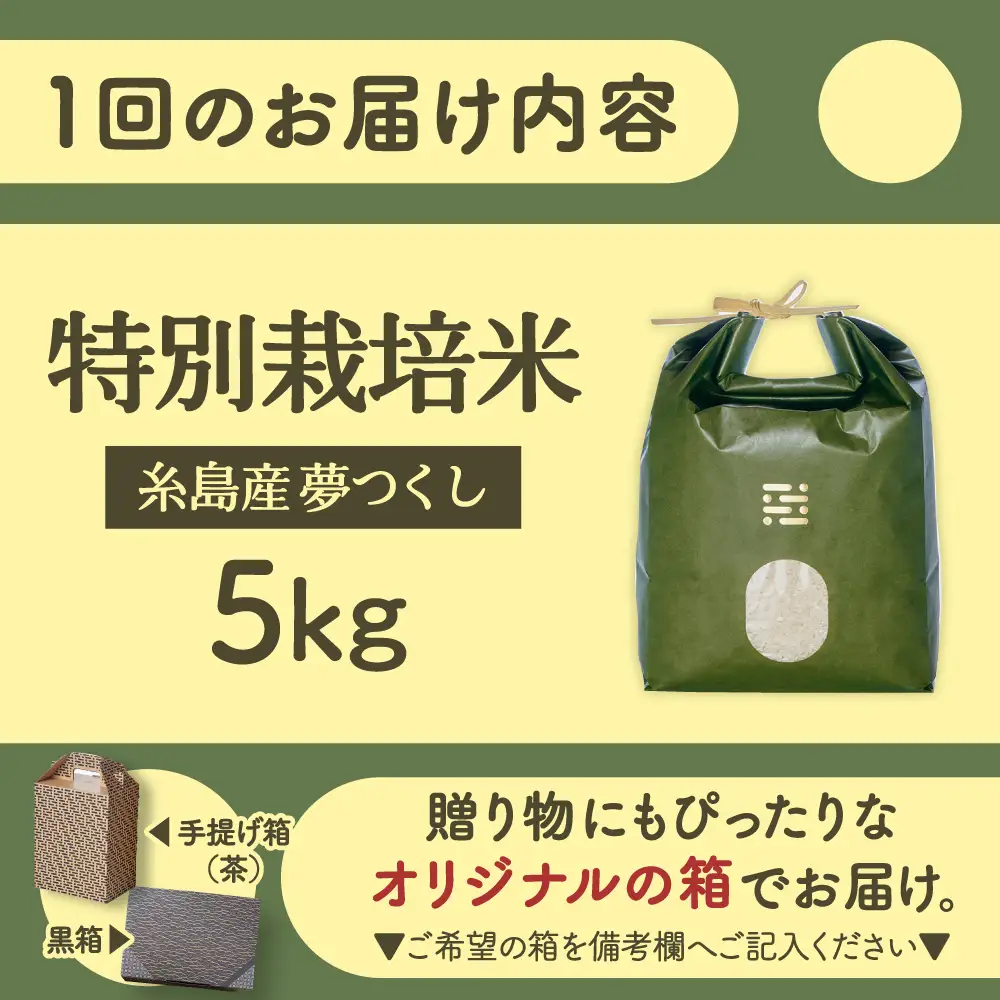 【全12回定期便】とくべつの中のとくべつ 特別栽培米 5kg 夢つくし 吉富町/(株)やました[BGBX008]