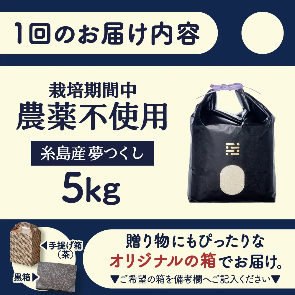 【全3回定期便】農薬を使わずに育てた 山つき 5kg 夢つくし 吉富町/(株)やました[BGBX014]