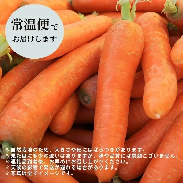 人参 10kg 人参