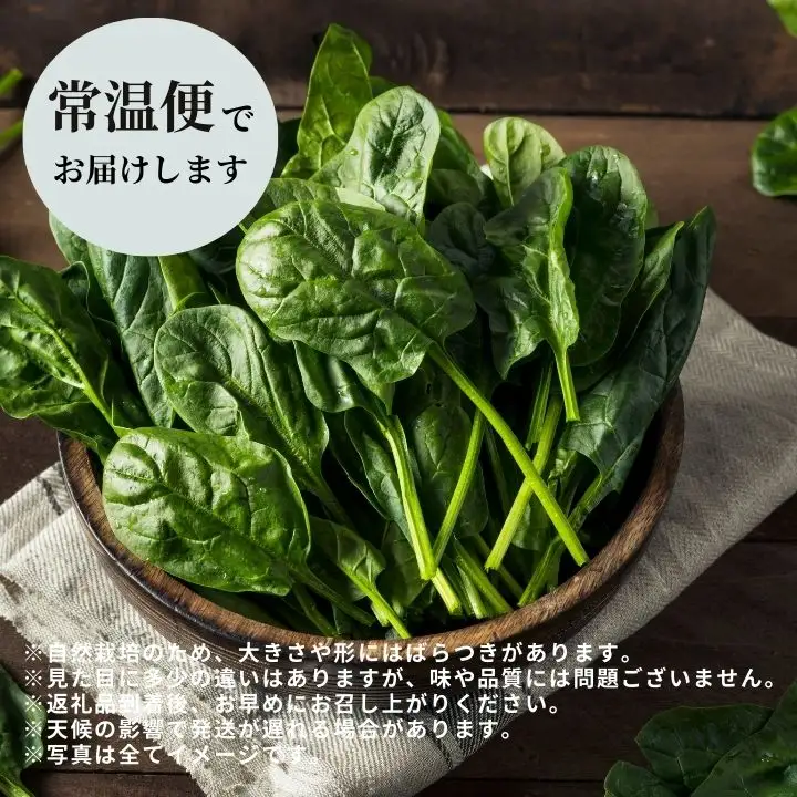 ほうれん草 2kg 10袋 ほうれん草 ほうれんそう