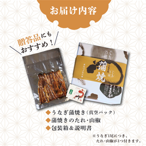 【2026年9月～順次発送】 うなぎ蒲焼 2人前 2尾 冷蔵 三島名物 老舗 鰻問屋 うなぎ 蒲焼き 鰻 ウナギ 真空パック 浜名湖 土用丑の日 贈答用 惣菜 うな重 うな丼 伝統 贈り物 鰻料理 ウナギの蒲焼 和食 浜名湖うなぎ 山本実生商店 三島市 静岡県