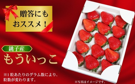 もういっこ イチゴ 大粒 銚子産 【1月下旬～4月下旬頃発送】  岩瀬農園