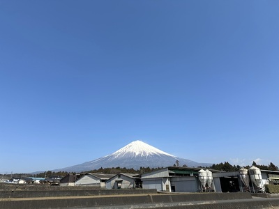 0020-110-01 富士山竹川牛 サーロインミニステーキ 100g & ヒレ 120g×1枚 & リブロース焼肉 200g