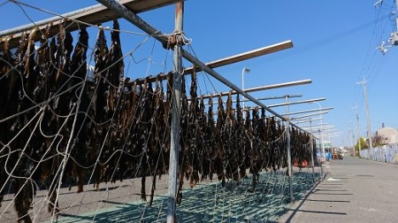 漁師がお届け 塩蔵わかめ 1kg と 乾燥わかめ 400gセット 計1.4kg 
