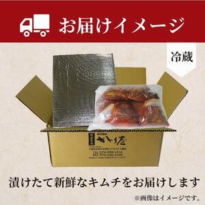 チャンジャ 500g 100g×5 チャンジャ