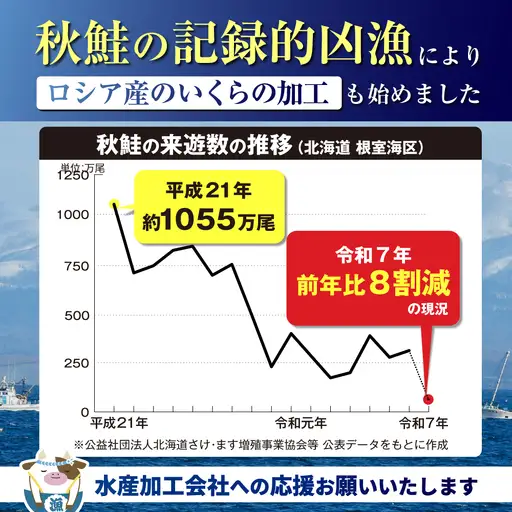 ロシア産・鮭いくら醤油漬け500g MT002TY00
