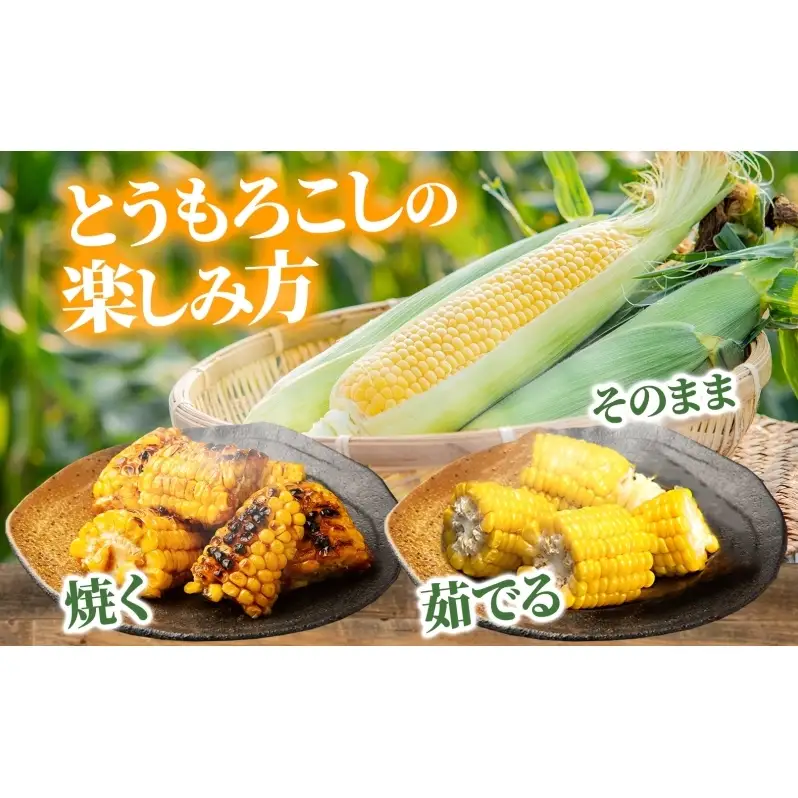 【ふるなびWEEK対象】北海道産 とうもろこし 恵味 ゴールド 2L 8本 8月中旬～9月下旬頃お届け 朝採り 恵味 めぐみトウモロコシ スイート コーン 甘い 新鮮 先行受付 夏 野菜 産地直送 塩田農園 送料無料 北海道 洞爺湖町