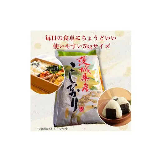 【12カ月定期便】コシヒカリ 5kg（茨城県共通返礼品・城里町産） / 米 こめ コメ お米 おこめ コシヒカリ こしひかり 白米 精米 ごはん ご飯 令和7年産 5kg 定期便 茨城県 城里町 利根町