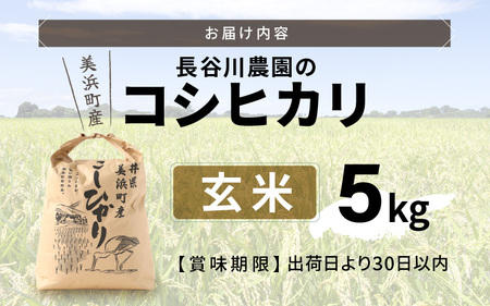 【玄米】5kg コシヒカリ 令和7年産 玄米【長谷川農園】 [m22-a014]