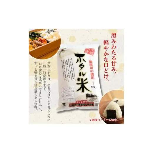 【6カ月定期便】ほたる米 5kg（茨城県共通返礼品・城里町産） / 米 こめ コメ お米 おこめ ほたる米 白米 精米 ごはん ご飯 令和7年産 5kg 定期便 茨城県 城里町 利根町