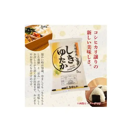 しきゆたか 5kg（茨城県共通返礼品・城里町産） / 米 こめ コメ お米 おこめ しきゆたか 白米 精米 ごはん ご飯 令和7年産 5kg 茨城県 城里町 利根町