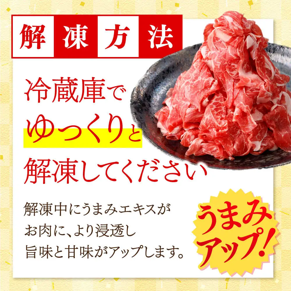 【12回定期便】国産 黒毛和牛 熟成肉 切り落とし計1kg(500g×2パック)/ 小分け 国産牛 お肉 牛肉 切落し 冷凍 焼肉 すき焼き / 南島原市 / ふるさと企画[SBA097]