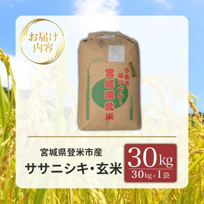 ≪令和7年産≫＜特別栽培米＞ササニシキ 玄米 30kg(30kg×1袋) 登米市産 米 お米 おこめ ごはん ご飯 玄米 おにぎり お弁当 ささにしき 30キロ 【宮城商事株式会社】tm465