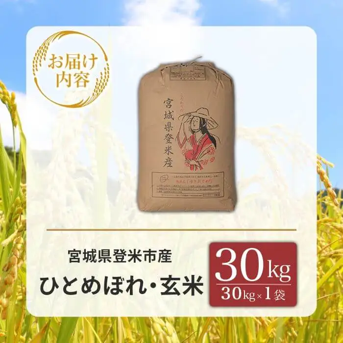 ≪令和7年産≫こだわりの登米産 ひとめぼれ 玄米 30kg(30kg×1袋) 登米市産 米 お米 おこめ ごはん ご飯 玄米 おにぎり お弁当 30キロ 【宮城商事株式会社】tm471