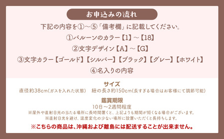 お名前入り バブルバルーン バルーン 選べるカラー デザイン 風船 ぐんじバルーンワークス《30日以内に出荷予定(土日祝除く)》千葉県 流山市 送料無料 バースデー パーティー 記念日 ベビーシャワー お祝い 誕生日 プレゼント 【配送不可地域あり】（沖縄・離島）