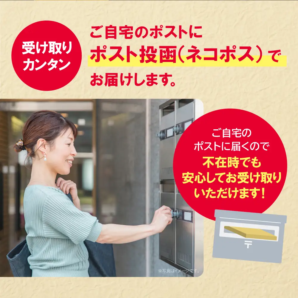 Z86-31 博多とんこつラーメン12食 4種類の本場博多の福岡産スープ ラーメン