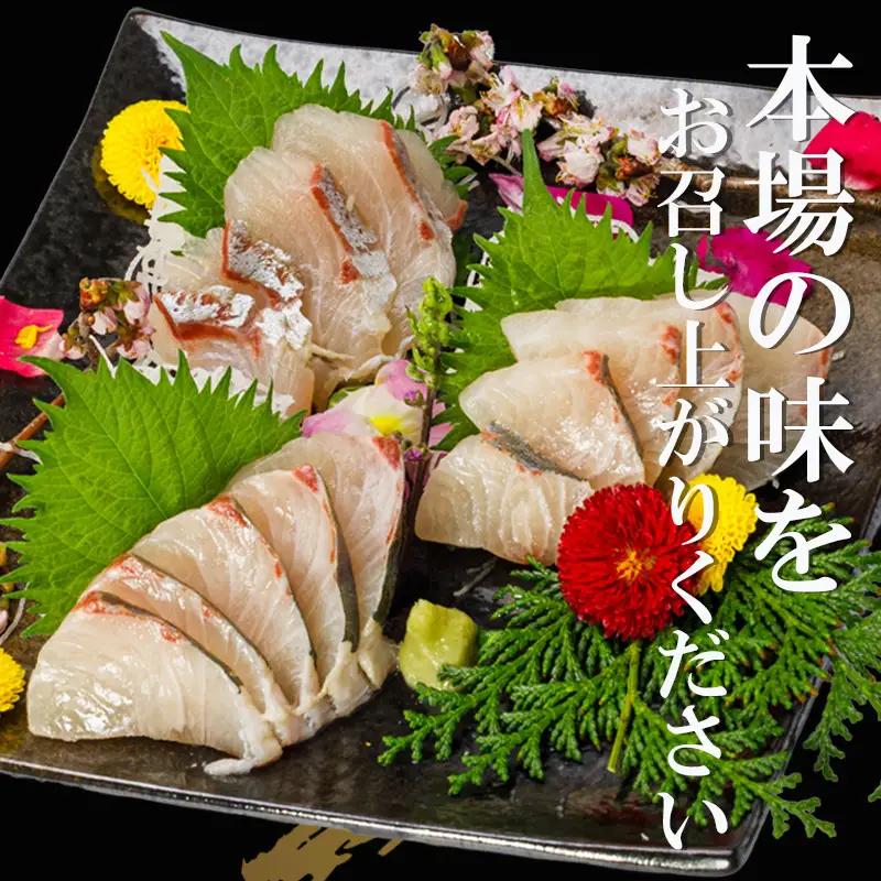 藁焼き カンパチ の たたき 約350g 