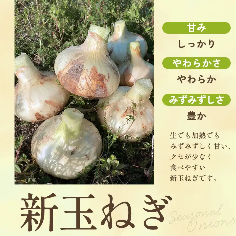 新玉ねぎ 淡路島産 3kg もぐもぐファーム 甘い 新玉ねぎ