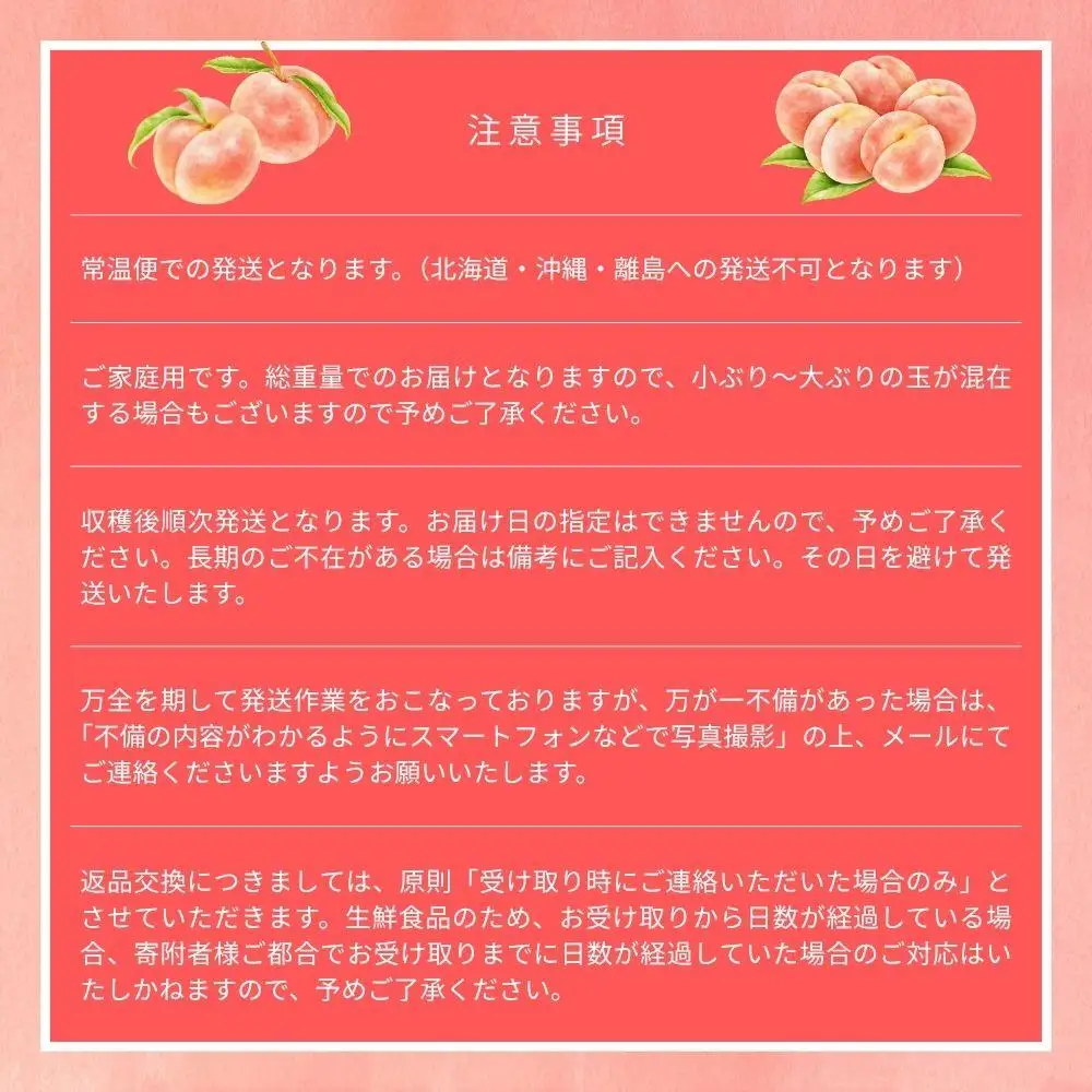 【2026年先行予約】［なんばふぁーむ］岡山県産 黄金桃 750g（3玉）［ご家庭用］【039-a013】