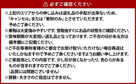 《ご家庭用》ニュー ピオーネ 2～3房（合計約1.2kg）　ブドウ 葡萄 岡山県産 国産 フルーツ 果物 岡山県 倉敷市 　【2026年9月上旬～10月上旬発送予定】