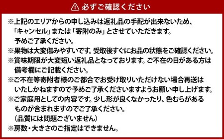 《ご家庭用》 オーロラブラック 2～3房 （合計約1.2kg） ブドウ 葡萄 岡山県産 国産 フルーツ 果物 岡山県 倉敷市 　【2026年8月下旬～9月下旬発送予定】