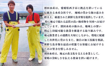 ＜漁師さん自慢のしらす干し 合計1kg 6回定期便＞ 定期便 シラス 魚介類 さかな 海産物 海鮮 海の幸 小分け 国産 ご飯のお供 丼 晩酌 おかず 特産品 濱田水産 愛媛県 西予市 【冷凍】『お申込み月の翌月より配送を開始します』AHS0018
