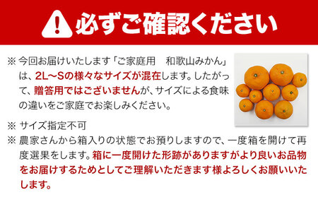 ご家庭用/訳あり みかん 約10kg