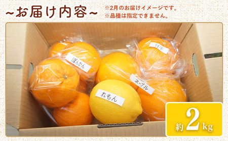 【先行予約】＜笑丸のお楽しみ柑橘福袋（家庭用）約2kg＞ 自宅用 訳あり 果物 くだもの フルーツ ミカン みかん 蜜柑 高級柑橘 詰め合わせ 春柑橘 春みかん 夏柑橘 特産品 笑丸 愛媛県 西予市 常温『2027年1月～5月に順次出荷予定』AAN0084