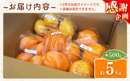＜笑丸のお楽しみ柑橘福袋（家庭用）約5kg＋500g＞感謝企画 自宅用 訳あり 果物 くだもの フルーツ ミカン みかん 蜜柑 高級柑橘 詰め合わせ 春柑橘 春みかん 夏柑橘 特産品 笑丸 愛媛県 西予市 常温『2026年1月～5月に順次出荷予定』AAN0082