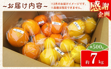 ＜笑丸のお楽しみ柑橘福袋（家庭用）約7kg＋500g＞感謝企画 自宅用 訳あり 果物 くだもの フルーツ ミカン みかん 蜜柑 高級柑橘 詰め合わせ 春柑橘 春みかん 夏柑橘 特産品 笑丸 愛媛県 西予市 常温『2026年1月～5月に順次出荷予定』AAN0083