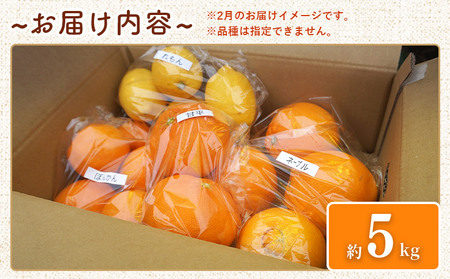 【先行予約】＜笑丸のお楽しみ柑橘福袋（家庭用）約5kg＞ 自宅用 訳あり 果物 くだもの フルーツ ミカン みかん 蜜柑 高級柑橘 詰め合わせ 春柑橘 春みかん 夏柑橘 特産品 笑丸 愛媛県 西予市 常温『2027年1月～5月に順次出荷予定』AAN0085