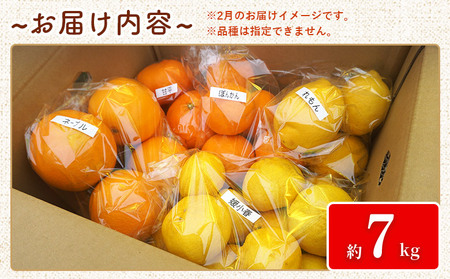【先行予約】＜笑丸のお楽しみ柑橘福袋（家庭用）約7kg＞ 自宅用 訳あり 果物 くだもの フルーツ ミカン みかん 蜜柑 高級柑橘 詰め合わせ 春柑橘 春みかん 夏柑橘 特産品 笑丸 愛媛県 西予市 常温『2027年1月～5月に順次出荷予定』AAN0086