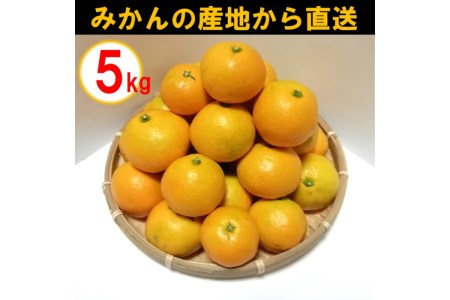 旬の野菜・フルーツ定期便4回【8007-3】