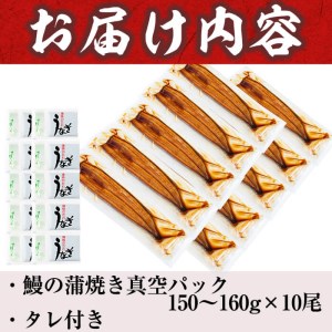 うなぎの大楠 蒲焼＜大＞10尾 セット 計1.5kg(150g×10) f7-001