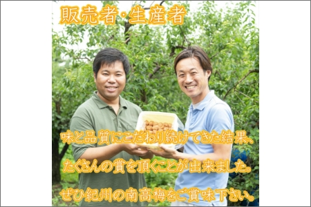 【0456-3】紀州南高梅　はちみつ梅(塩分8%)　10kg