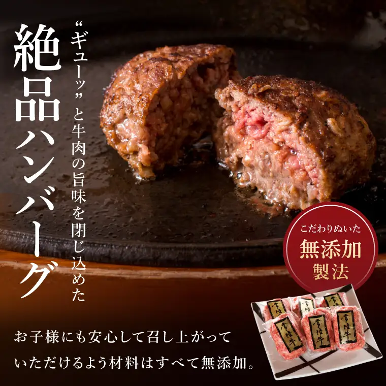 9ヶ月 定 期便 肉 常陸牛ハンバーグ100g×10個 計1kg × 9回 セット 肉のイイジマ（DU-159）