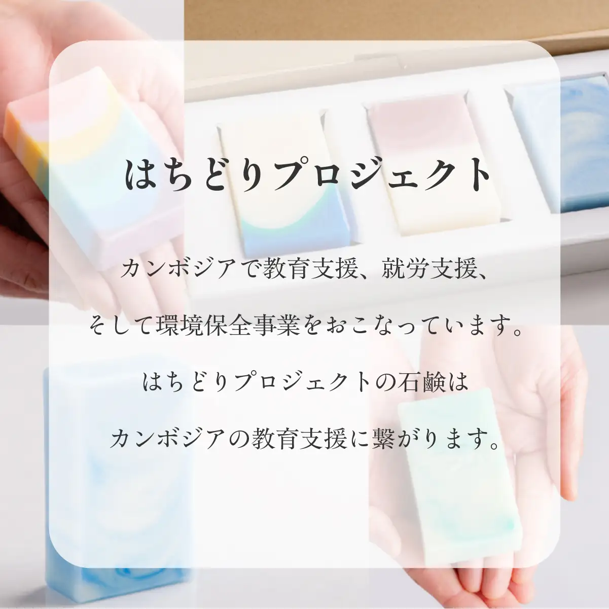 カレンデュラリップクリーム 計25g（5g×5） MROC021