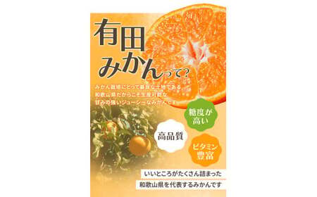 【2026年10月発送予約分】＼光センサー選別／ 【農家直送】【家庭用】こだわりの有田みかん 2kg 先行予約 有機質肥料100% サイズ混合 【10月発送】みかん ミカン 有田みかん 温州みかん 柑橘 有田 和歌山 ※北海道・沖縄・離島配送不可/みかん ミカン 有田みかん 温州みかん 柑橘 有田 和歌山 産地直送【nuk004-c-2-octH】