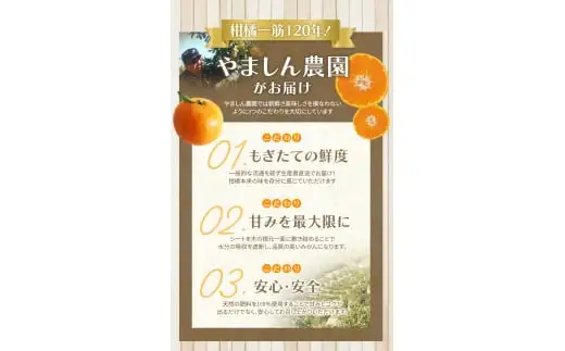 【2026年10月発送予約分】＼光センサー選別／ 【農家直送】【家庭用】こだわりの有田みかん 6kg＋150g(傷み補償分) 先行予約 有機質肥料100% サイズ混合 【10月発送】みかん ミカン 有田みかん 温州みかん 柑橘 有田 和歌山 ※北海道・沖縄・離島配送不可/みかん ミカン 有田みかん 温州みかん 柑橘 有田 和歌山 産地直送【nuk004-c-6-octI】