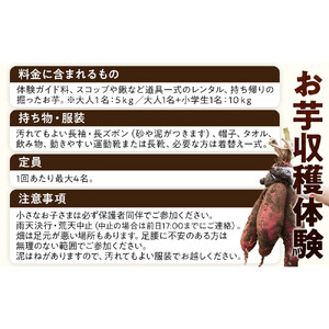 1285.【要予約 親子用（大人1名様+小学生1名様）】北栄町 お芋収穫体験　長芋・ねばりっこ・とっくり芋・里芋・さつまいも　掘ったお芋5kg×2名様分付き